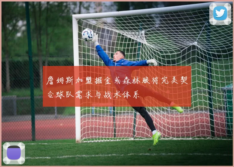 詹姆斯加盟掘金或森林狼将完美契合球队需求与战术体系