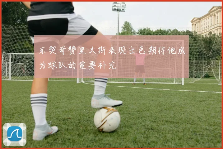 东契奇赞里夫斯表现出色期待他成为球队的重要补充